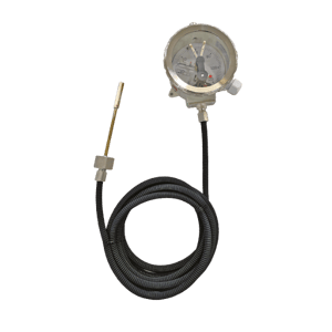 COMEM Temperature Indicators Type 1187